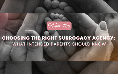 Choosing the Right Surrogacy Agency 